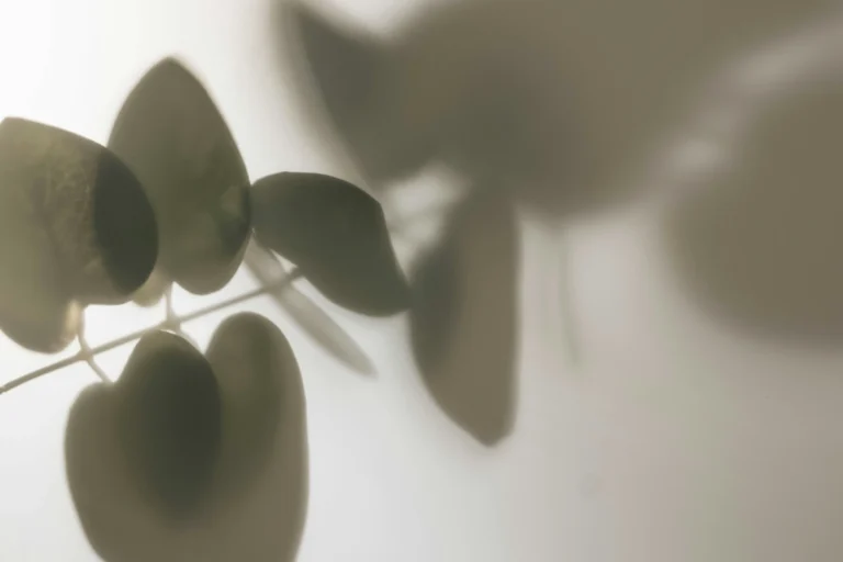 On creating work that feels like your own